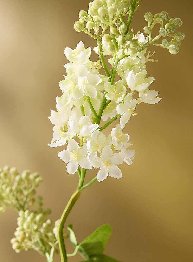 Simons Maison: La branche imitation lilas Lilas blanc