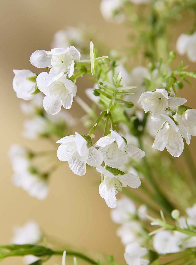 Simons Maison: La branche imitation fleur de cire Blanc