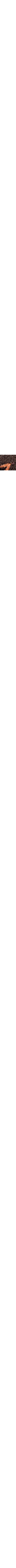 Brun à motifs