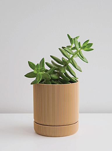 Hemlock plant-based planter See available sizes