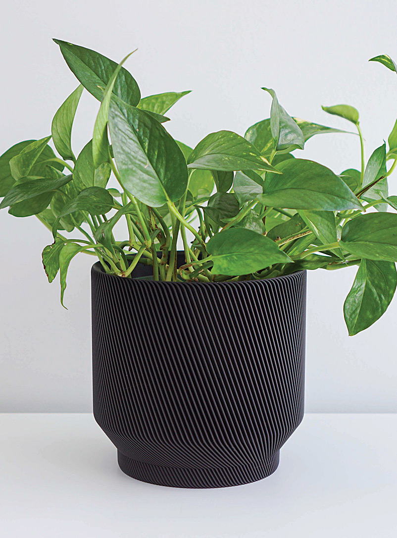 Conifer Homewares: Le pot à plantes en fibres végétales épicéa Voir nos formats offerts Noir