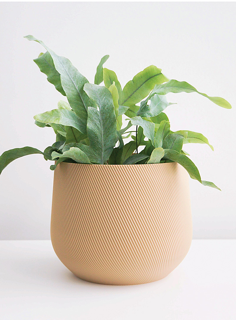 Conifer Homewares Light Brown Juniper plant-based planter See available sizes