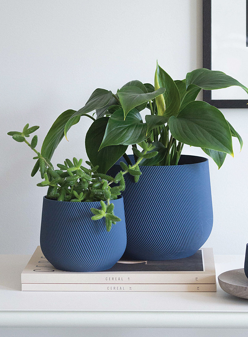 Conifer Homewares Marine Blue Juniper plant-based planter See available sizes