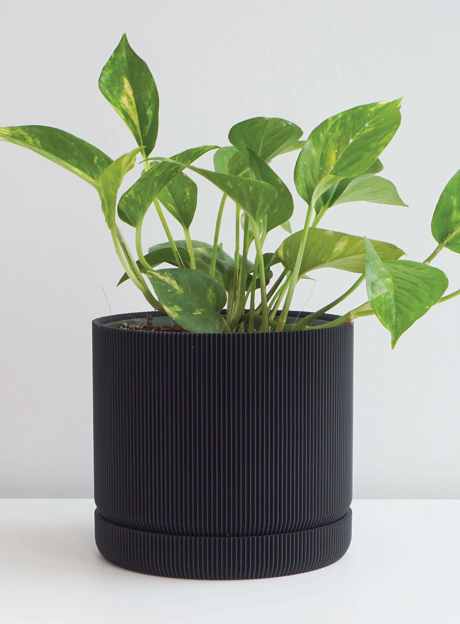 Conifer Homewares Hemlock Plant-based Planter See Available Sizes In Black