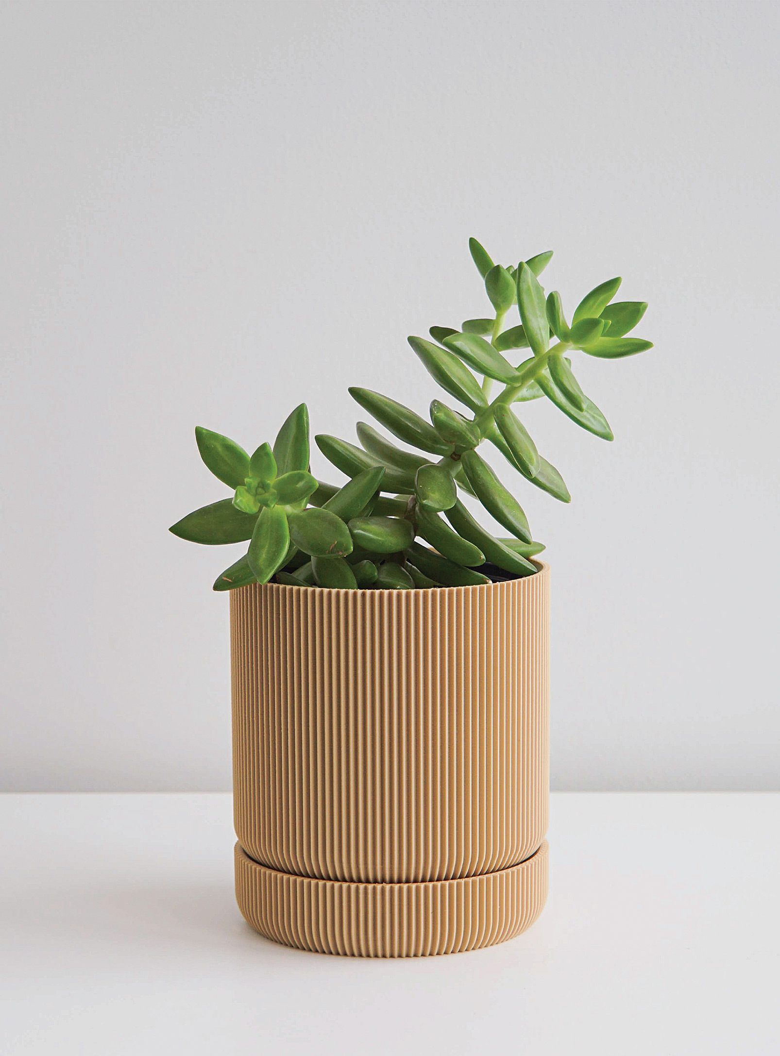 Conifer Homewares Hemlock Plant-based Planter See Available Sizes In Fawn