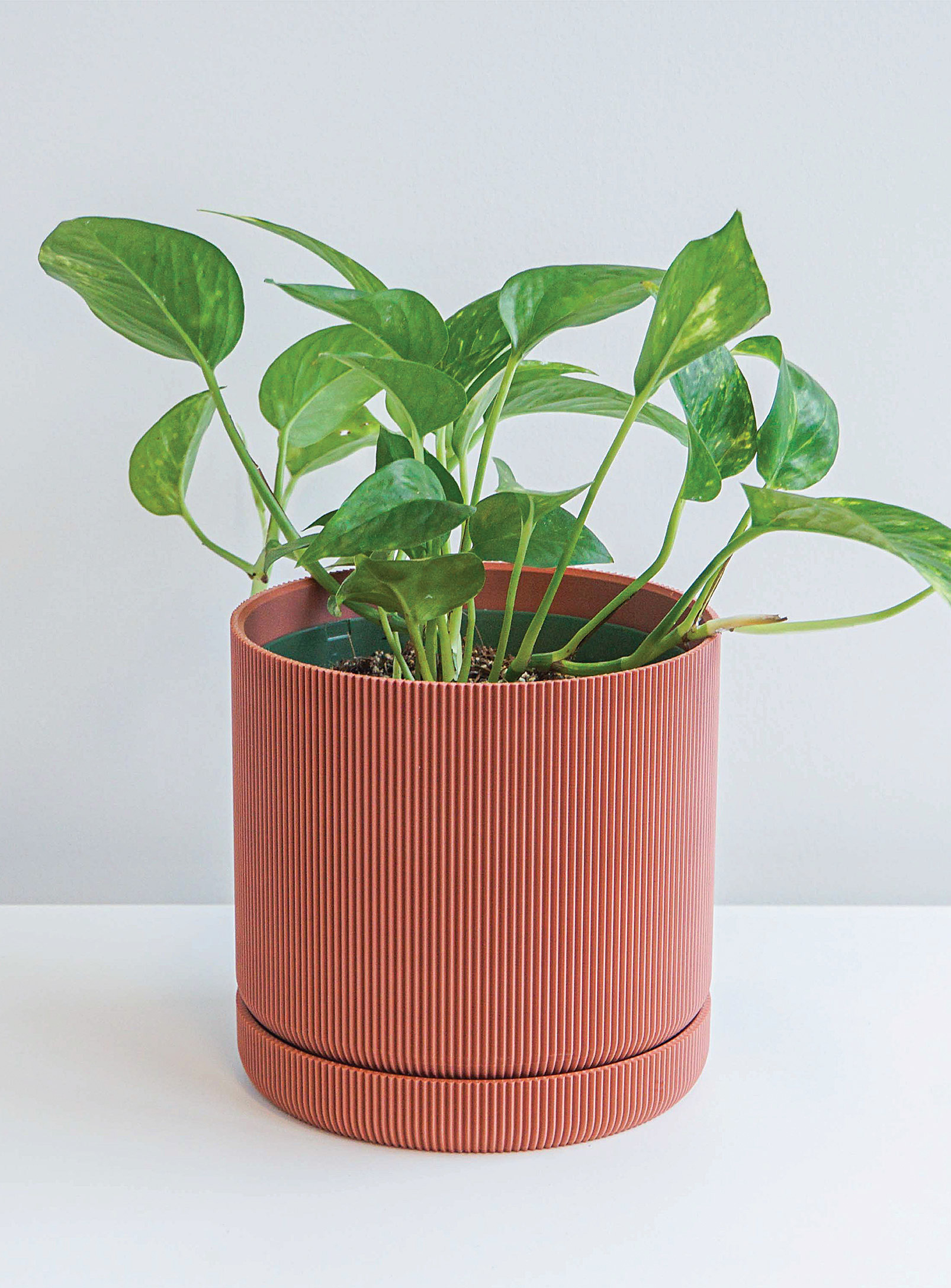 Conifer Homewares Hemlock Plant-based Planter See Available Sizes In Dusky Pink