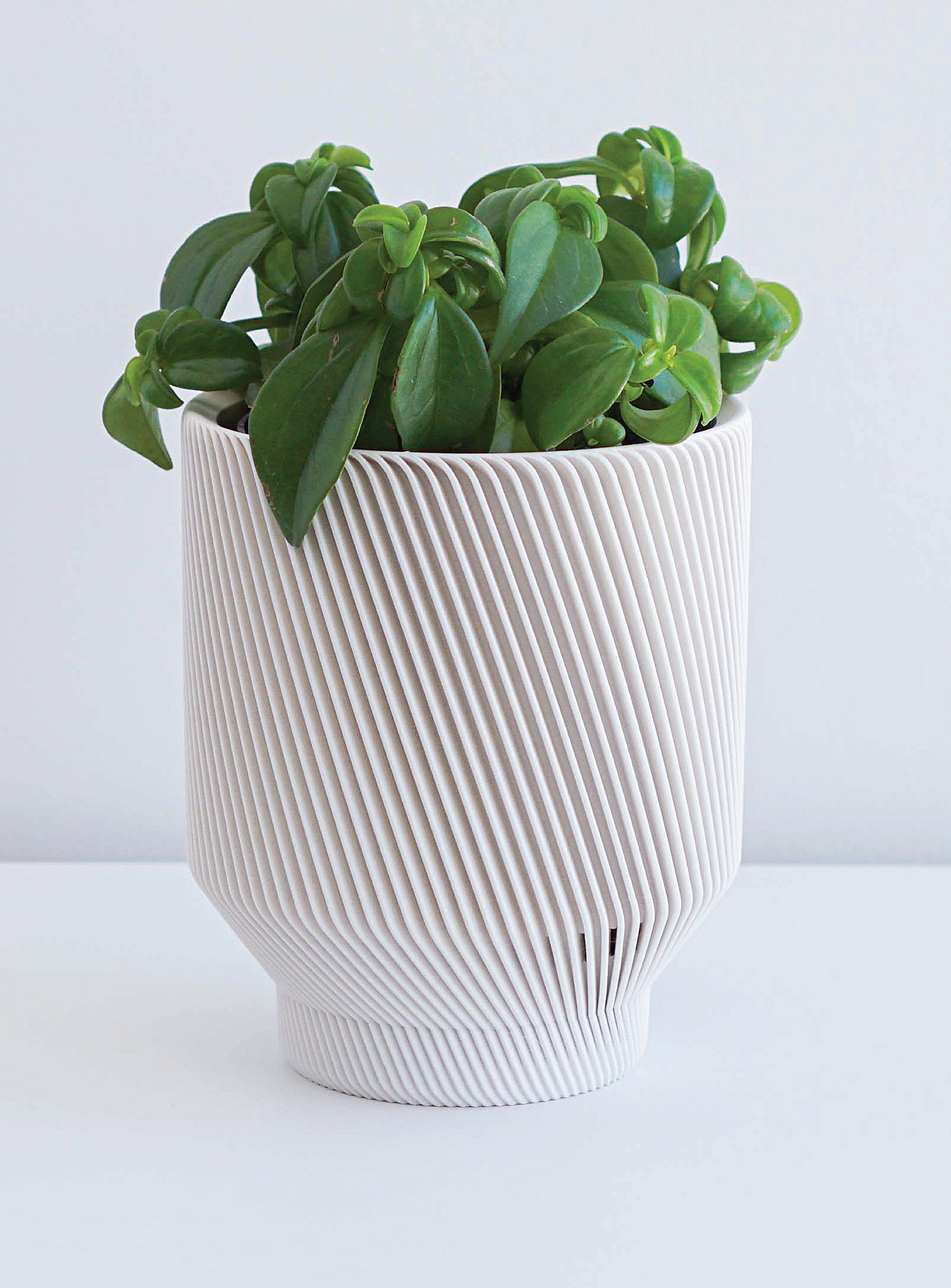 Conifer Homewares Spruce Plant-based Planter See Available Sizes In White