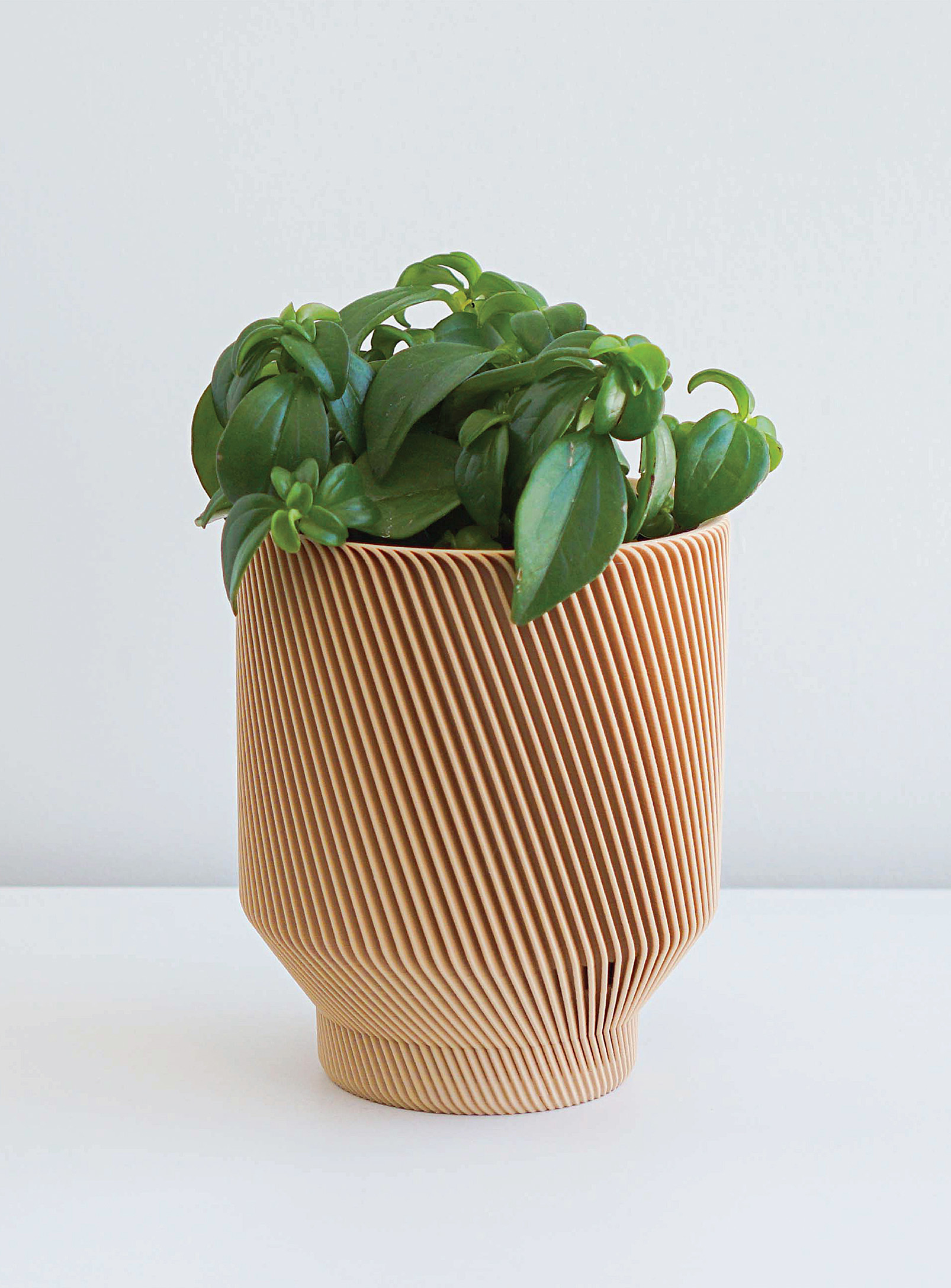 Conifer Homewares Spruce Plant-based Planter See Available Sizes In Fawn