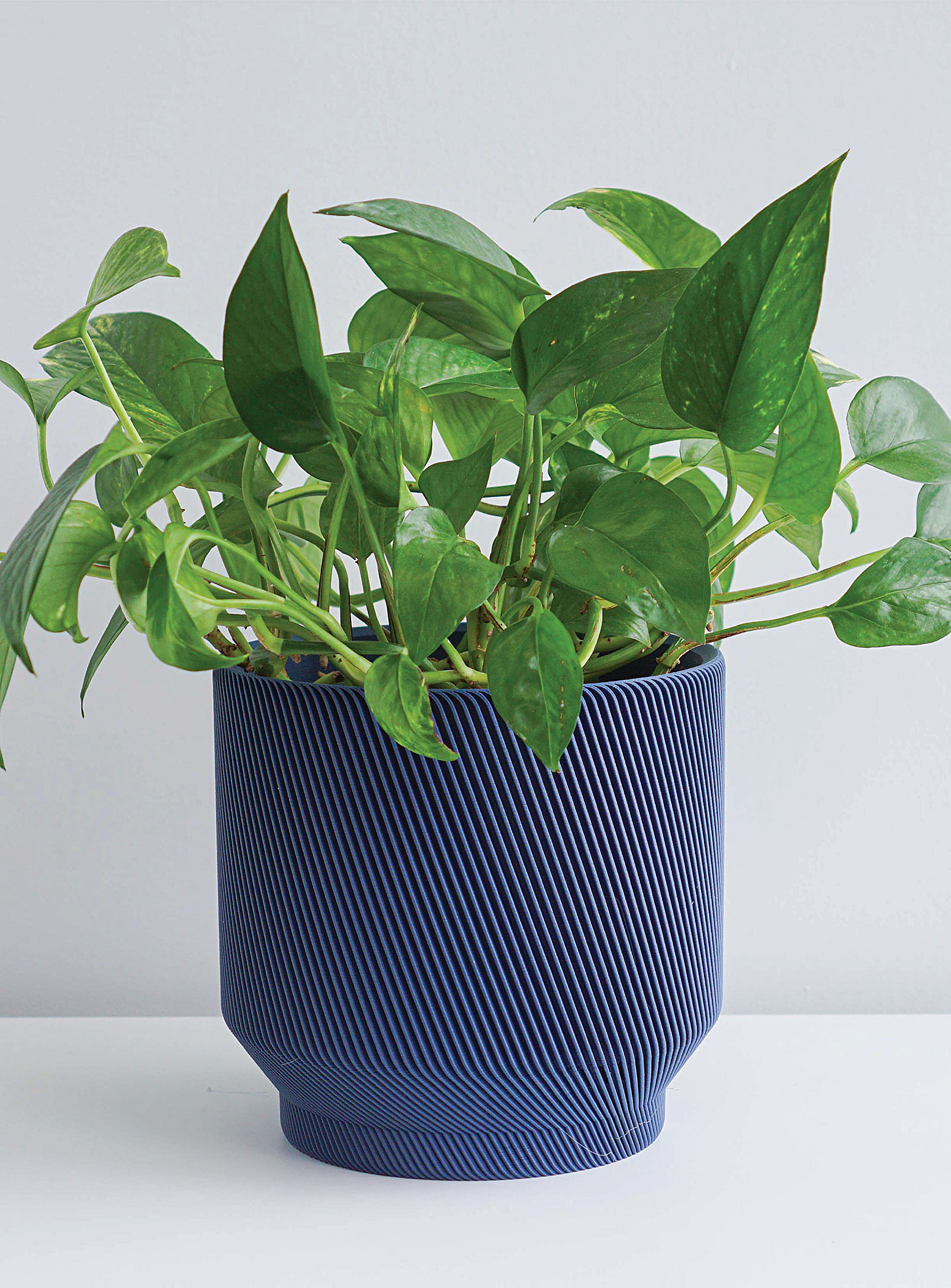 Conifer Homewares Spruce Plant-based Planter See Available Sizes In Marine Blue