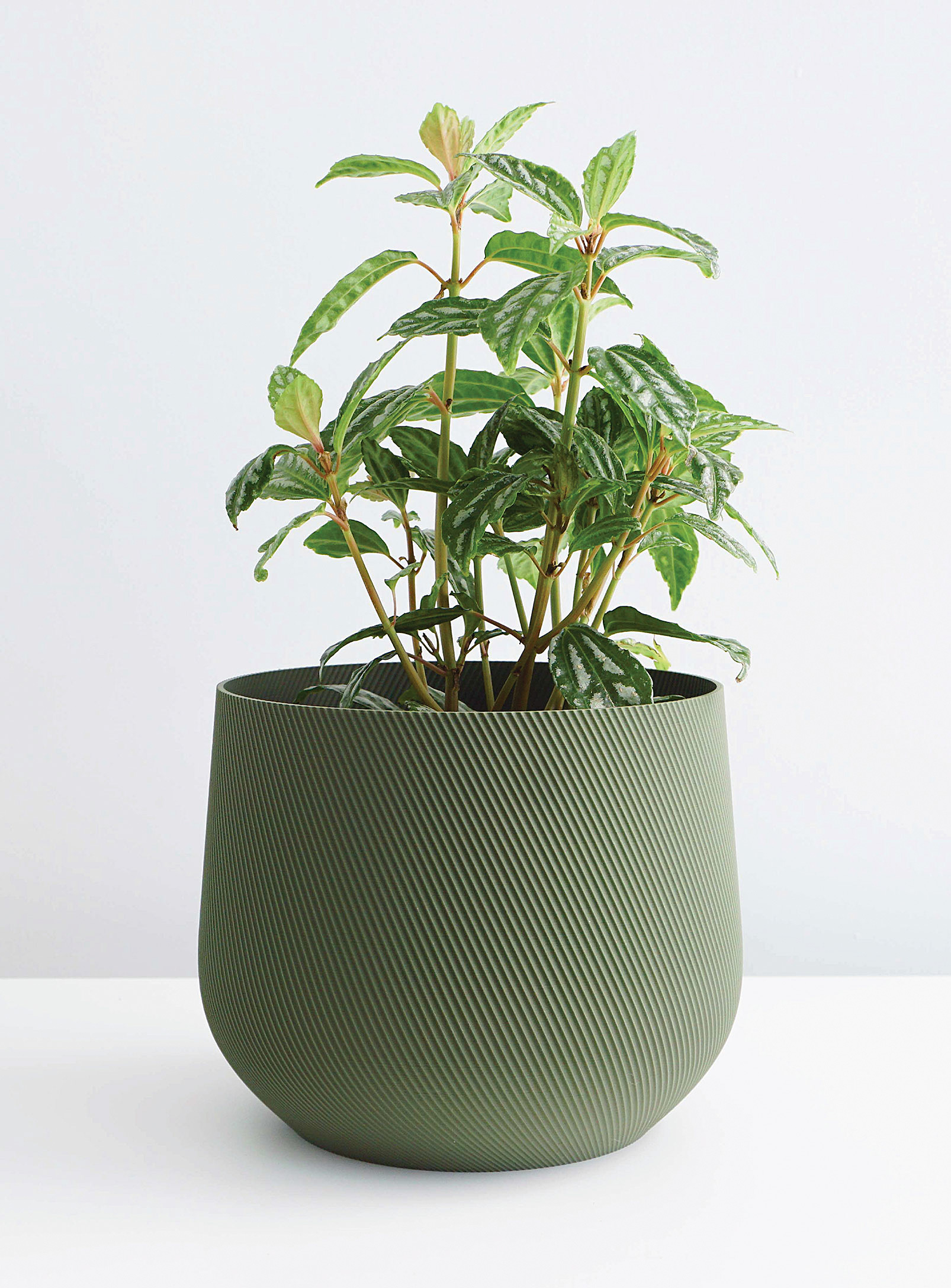 Conifer Homewares Juniper Plant-based Planter See Available Sizes In Mossy Green
