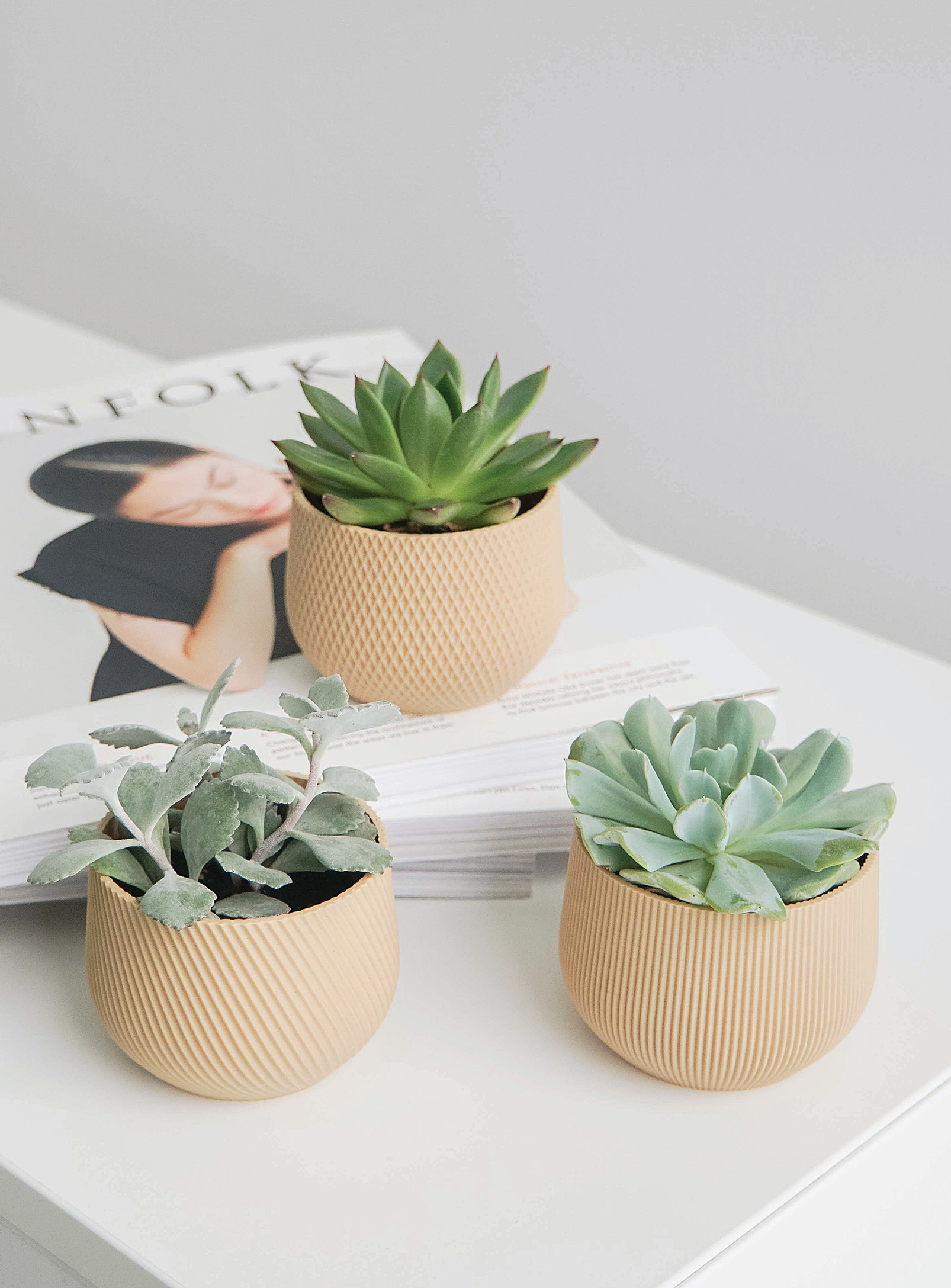 Conifer Homewares Plant-based Mini Planters Set Of 3 In Fawn