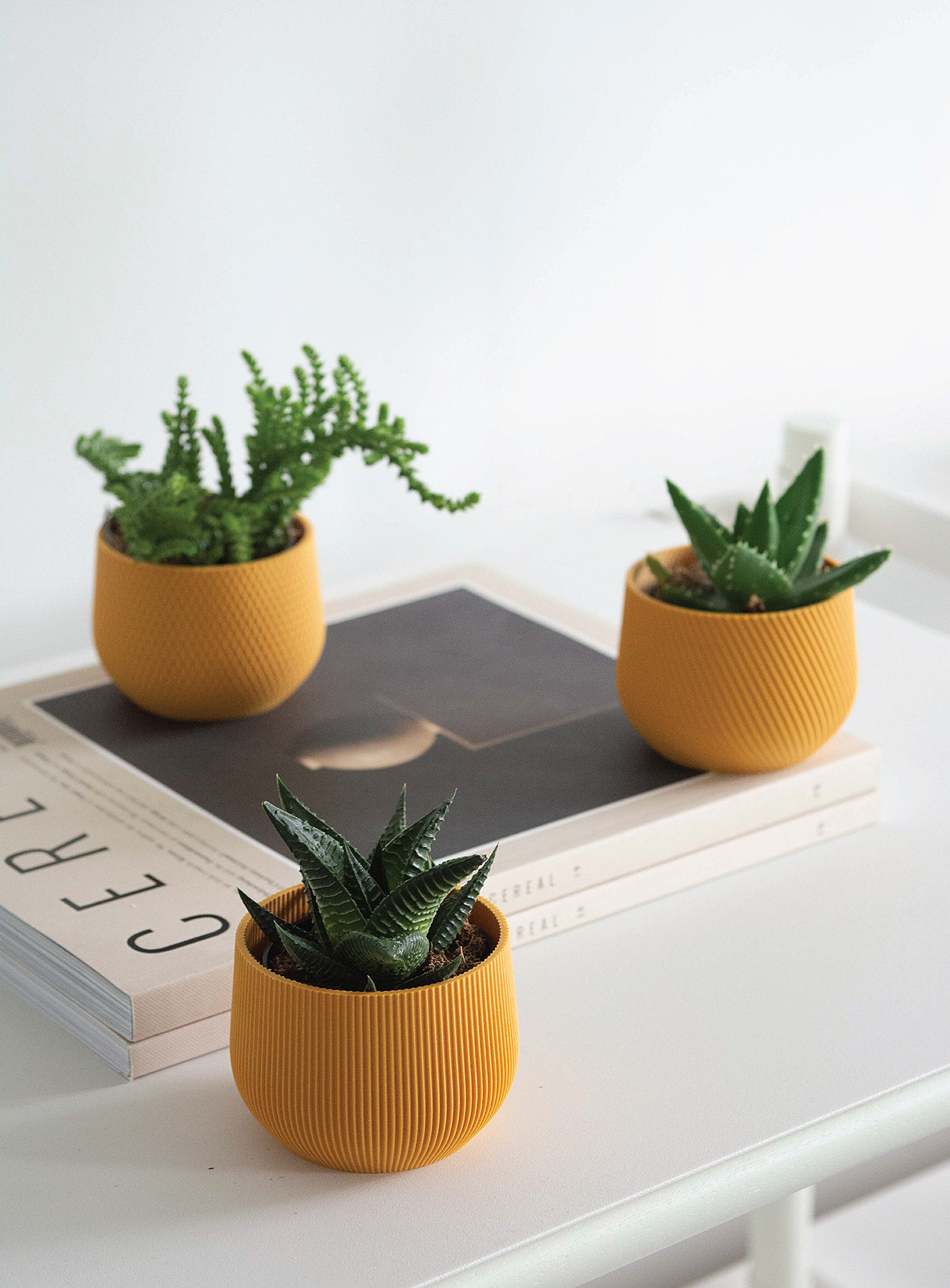 Conifer Homewares Plant-based Mini Planters Set Of 3 In Golden Yellow