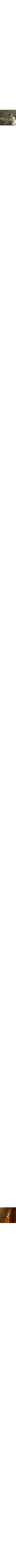 Assorti