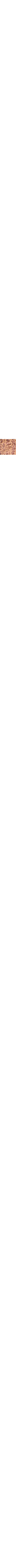 Cuivre - Rouille