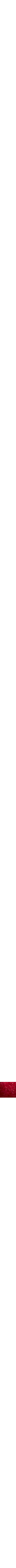 Rouge à motifs