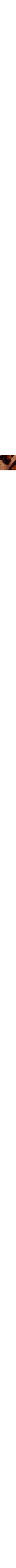 Brun à motifs