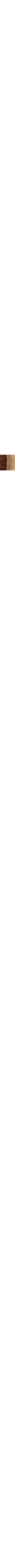 Brun à motifs