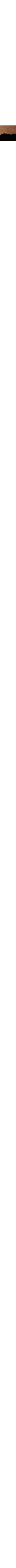 Beige à motifs