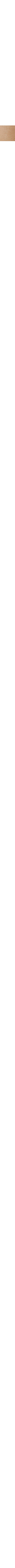Beige à motifs