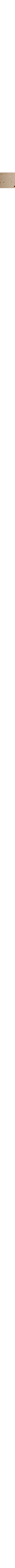 Beige crème