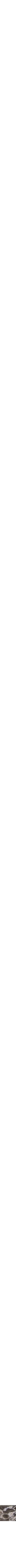 Assorti