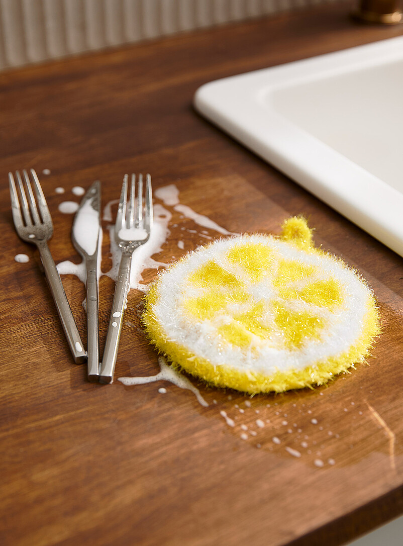 Whimsical Fruit Scouring Sponge