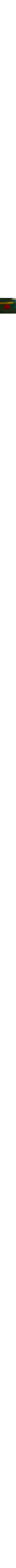Blanc à motifs