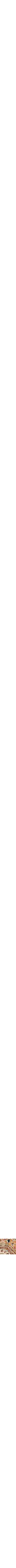 Jaune à motifs