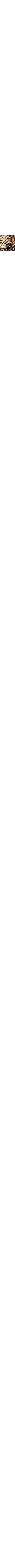 Patterned Ecru