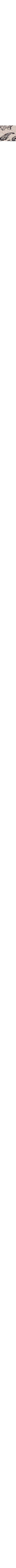 Gris à motifs