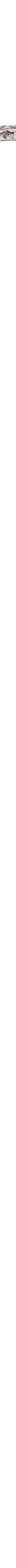 Gris à motifs