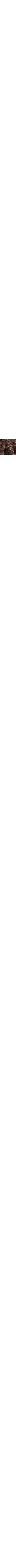 Cuivre - Rouille