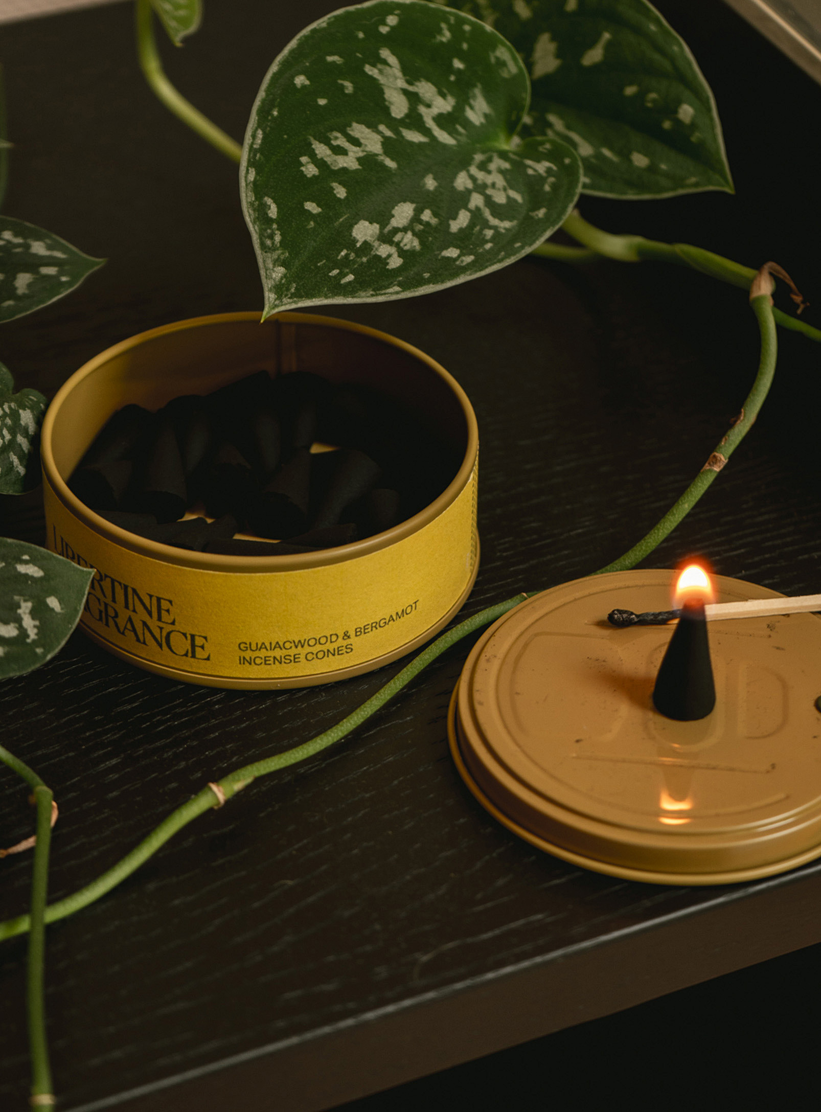 Libertine Fragrance - Guaiacwood Bergamot incense cones