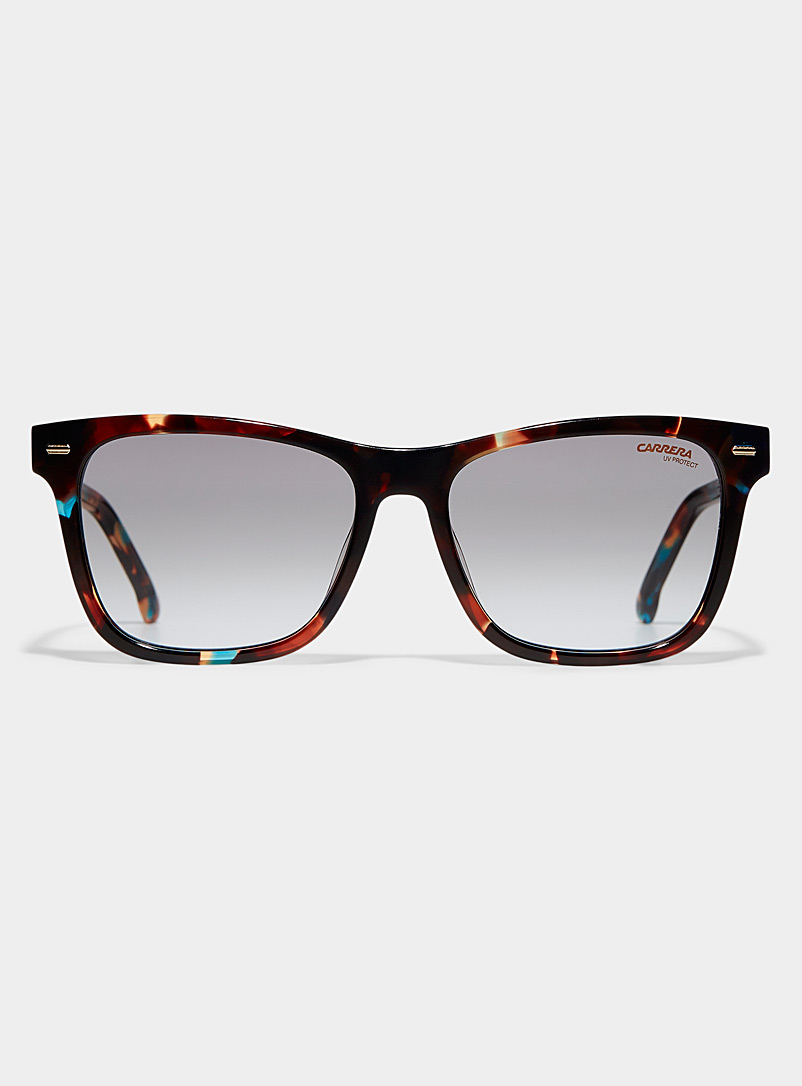 Carrera Dark Brown Golden-detail square sunglasses for women