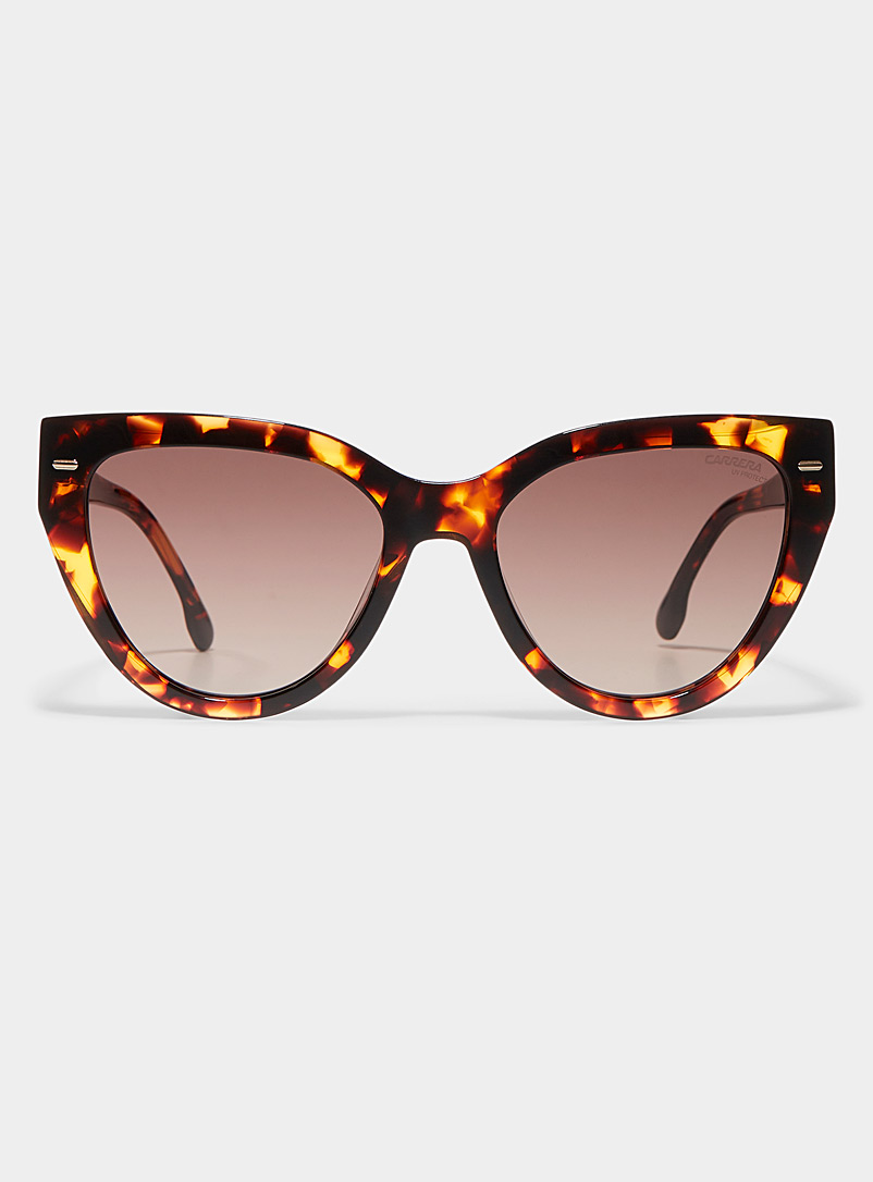 Carrera Light Brown Rounded cat-eye sunglasses for women