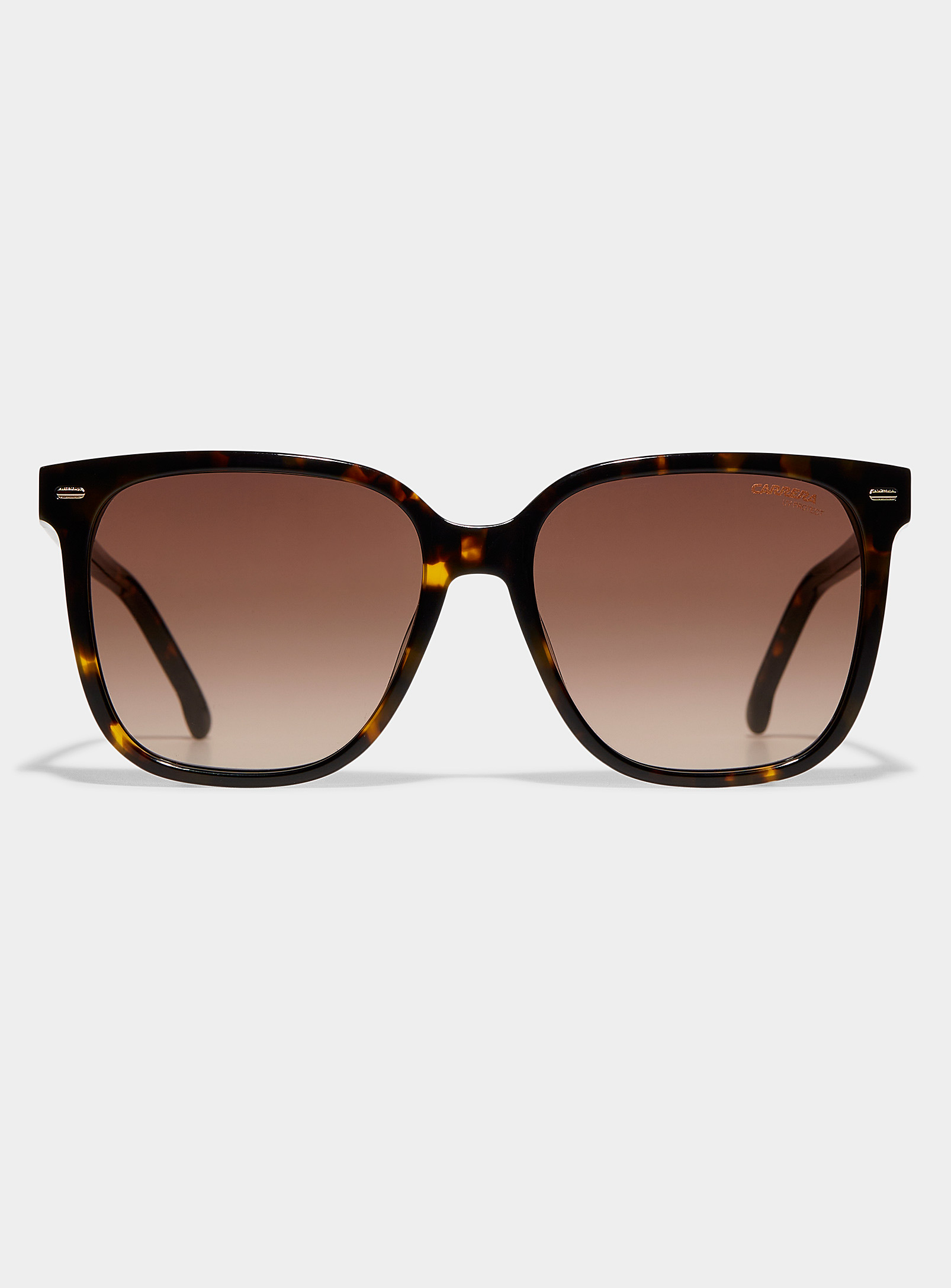 Carrera - Les lunettes de soleil écaille de tortue accents dorés