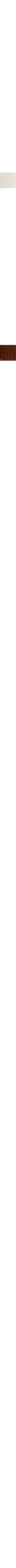 Blanc cassé