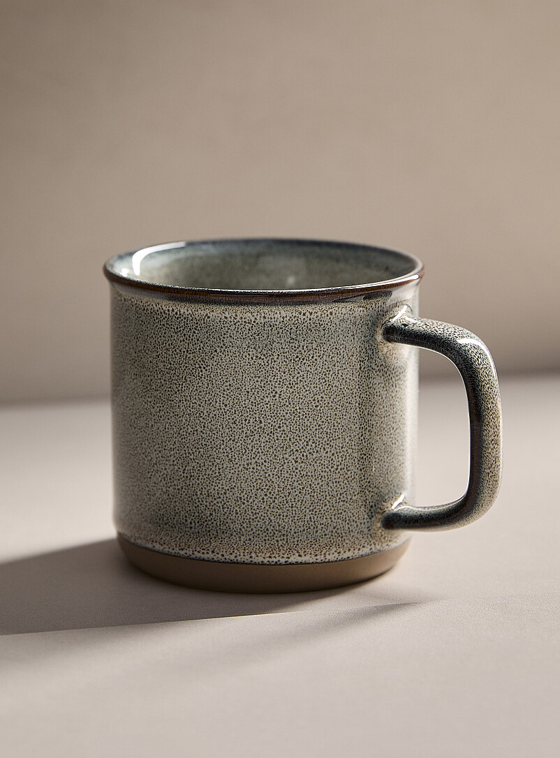 Contrasting Trim Speckled Mug