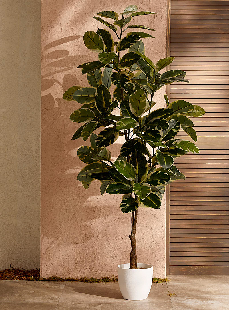 Simons Maison Green Artificial weeping fig green plant