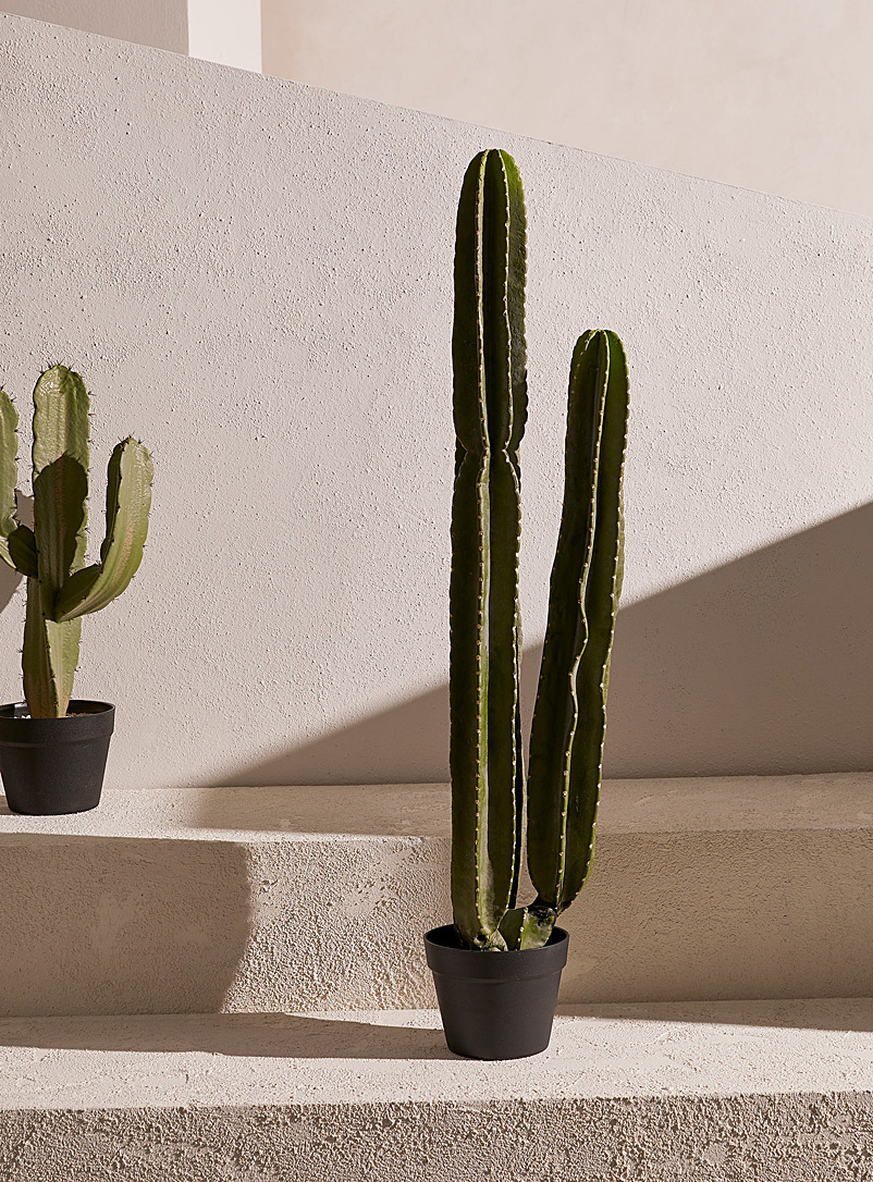 Simons Maison: La plante verte imitation cactus Vert