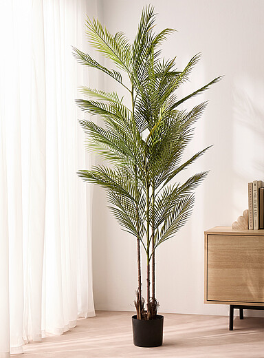 La plante imitation palmier californien 170 cm de hauteur