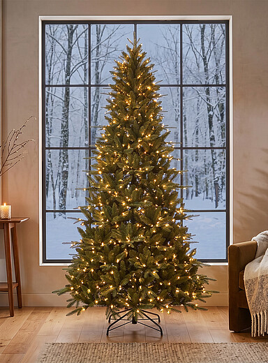 Le sapin de No&euml;l artificiel illumin&eacute; Cambridge 228 cm de hauteur <b>Collection de No&euml;l</b>