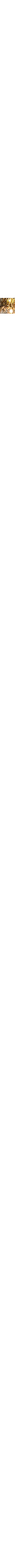 Blanc à motifs