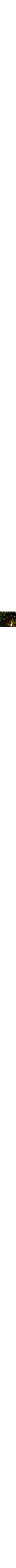 Vert à motifs