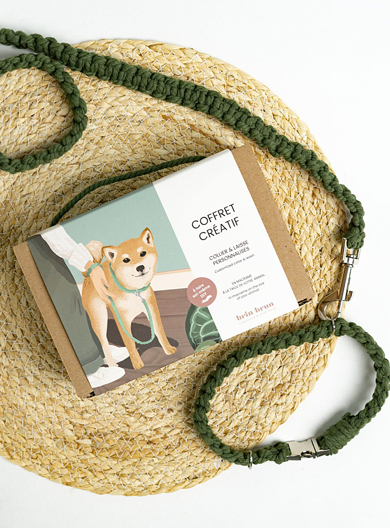 Brin Brun Assorted Dog leash and collar-making box set