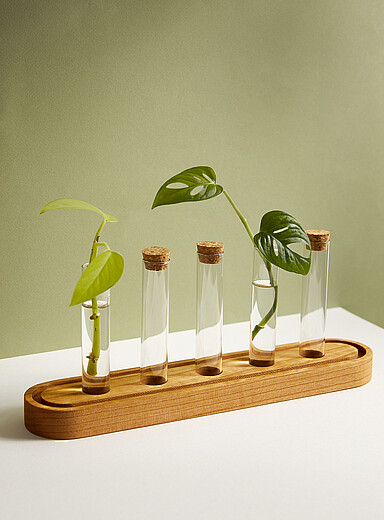 Plant propagation station