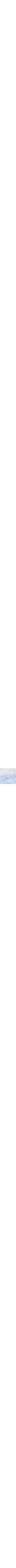 Patterned Blue