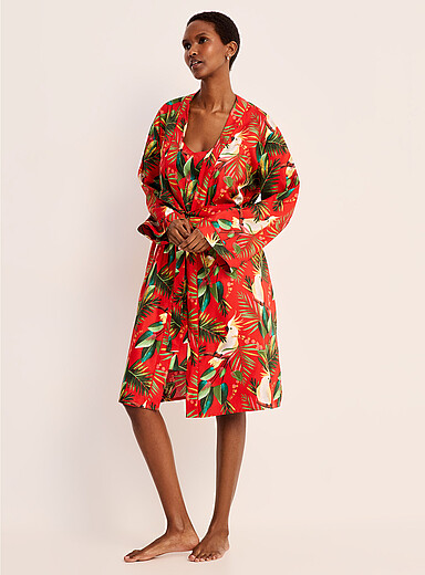 Parrots red robe