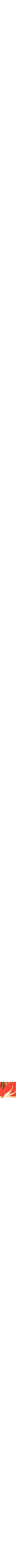Rouge à motifs