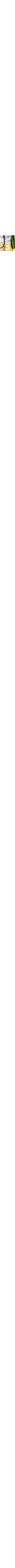 Patterned Ecru
